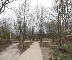 W Warszawie powstaje drugie lapidarium. Miasto nie usunie betonowych odpadów. To artefakty