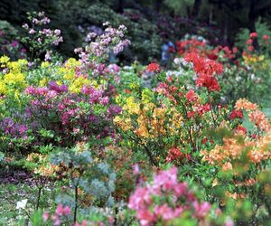 Ogród Botaniczny w Powsinie