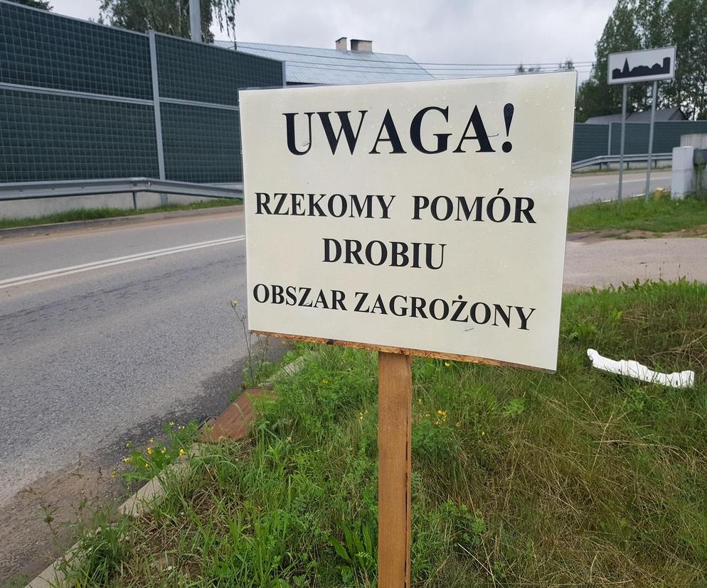 Koniec pomoru drobiu w Podlaskiem? Zniesiono obszary zagrożone