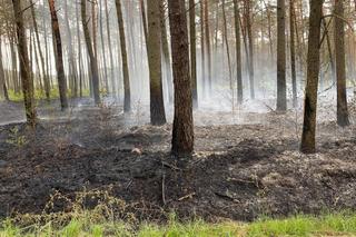 Podpalacz grasuje pod Pleszewem?! Ktoś chyba świetnie się bawi