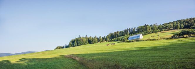 Arka - dom własny Roberta Koniecznego