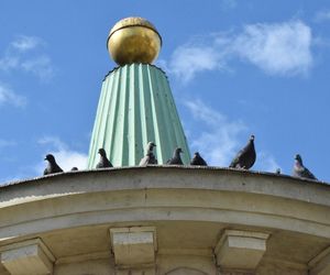 Eksmitują gołębie z Grubej Kaśki na czas remontu