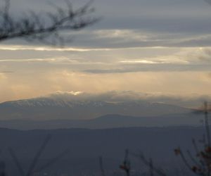 To jedyna taka willa w Krakowie. Znajduje się w lesie, widać z niej nawet Tatry