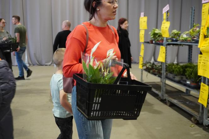 Festiwal Roślin w Lublinie