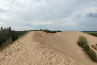 Stare Juchy jak Abu Zabi? Piaskowa góra na Mazurach przypomina egzotyczną pustynię [ZDJĘCIA]