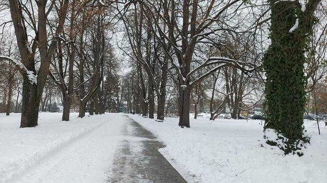 Zamojski Park pod śniegiem