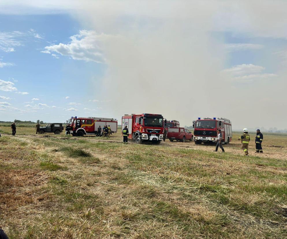 Pożar Biebrzańskiego Parku Narodowego opanowany. Pogorzelisko będzie patrolowane