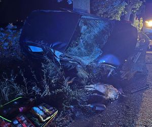 ​Samochód osobowy uderzył w drzewo. Groźny nocny wypadek w Lesznie