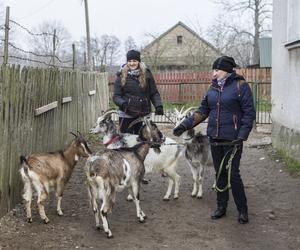 Rolnicy. Podlasie. Emilia Korolczuk i jej Ranczo Laszki