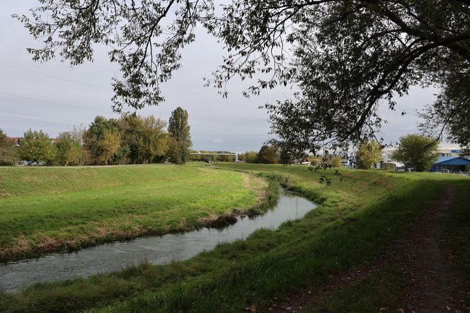 Jesienna odsłona terenów nad Bystrzycą w Lublinie. Tak się prezentuje w październiku