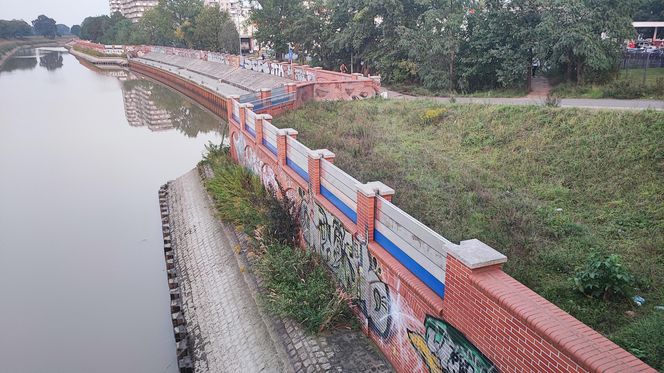 Mieszkańcy Wrocławia z zaniepokojeniem obserwują rzekę Odrę przepływającą pomiędzy osiedlami Kleczków i Różanka