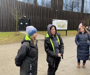 Dzień kota w łódzkim zoo. To doskonała okazja na obserwowanie nowego osobnika