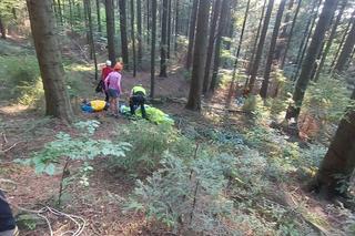 Przez 1,5 godziny wisiała na drzewie i nie mogła zejść. Kobiecie pomogli goprowcy