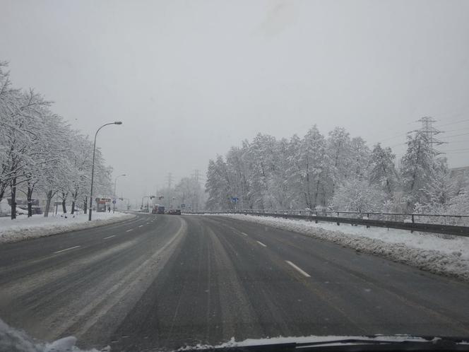 FATALNE warunki na drogach Rzeszowa. Śnieżny ARMAGEDON! [ZDJĘCIA]