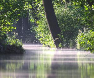 5 rezerwatów przyrody ma powstać na Opolszczyźnie