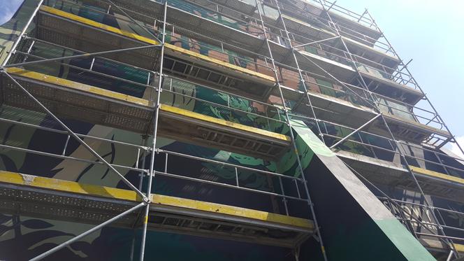 Mural "Sosnowy początek" w Sosnowcu