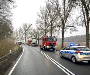 Nietrzeźwy kierowca Tira uderzył w drzewo na DK11 