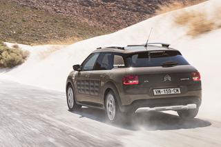 Citroen C4 Cactus Rip Curl 