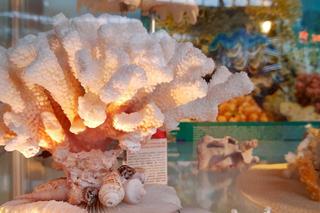 Zakazane pamiątki z wakacji, czyli co wrocławianie przywożą z zagranicy