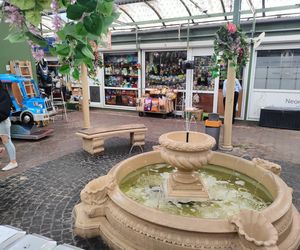 Najlepszy rynek w Łodzi według AI