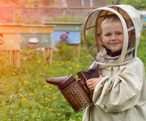 Ukąszenia, użądlenia i ugryzienia, które psują wakacje