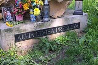 Pomnik Elvisa Presleya w Krakowie