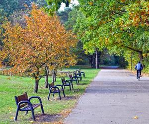 Zobacz jak wygląda największy park miejski w Polsce