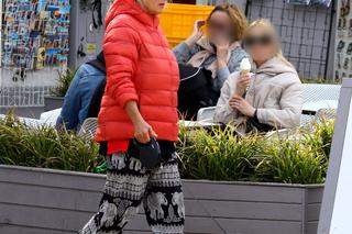 Szakira cierpliwie czekała na pancię