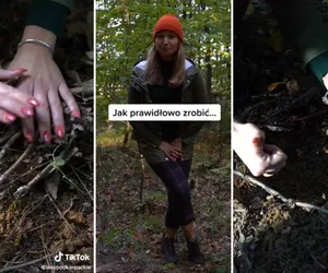 Ważna instrukcja od Lasów Podkarpackich! Na filmiku uczą jak poprawnie zrobić to w lesie [WIDEO]