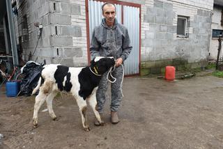 Burek zagryzł mu mamę