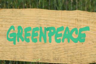 Greenpeace zablokowało gmach Ministerstwa Aktywów Państwowych - czego domagają się aktywiści?