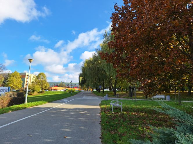 Najlepsze miejsca na jesienny spacer w Rzeszowie