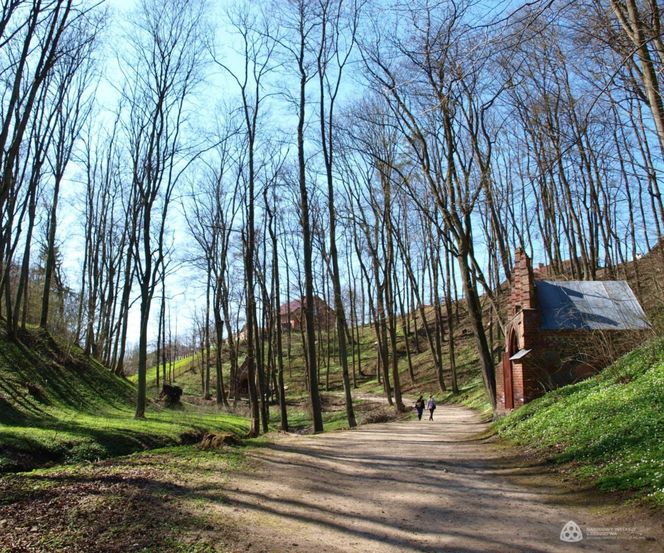 Malutką wieś nazywają "Warmińską Jerozolimą". Przyciąga prawdziwe tłumy