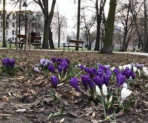 Czuć wiosnę w parku Leśniczówka!