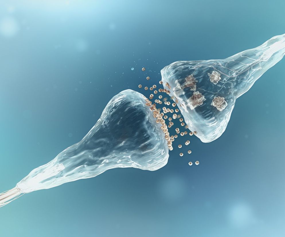 Neuroprzekaźnik (neurotransmiter, neuromediator) to cząsteczka chemiczna, dzięki której możliwe jest przekazywanie sygnałów pomiędzy komórkami nerwowymi, ale nie tylko.