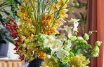 Storczyk Cymbidium (Cymbidium)