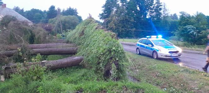 Potężna nawałnica przeszła przez woj. lubelskie. Straty są ogromne, jedna osoba jest ranna [ZDJĘCIA]