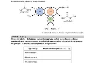 Matura biologia arkusz formuła 2015