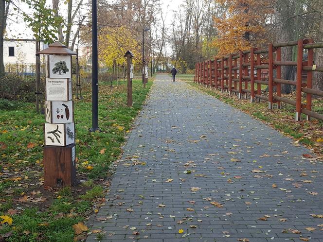 Skocznia, dendrofon i inne. Nowości w Parku 1000-lecia 