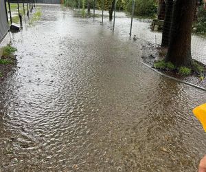 Przystań Ocalenie w Ćwiklicach zalana po ulewnych deszczach. Potrzebna pomoc