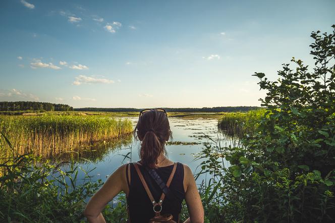 Piękne Lasy Janowskie. Jaka ważna bitwa rozegrała się niedaleko? Co zwiedzić? Atrakcje w okolicy według Wędrownych Motyli