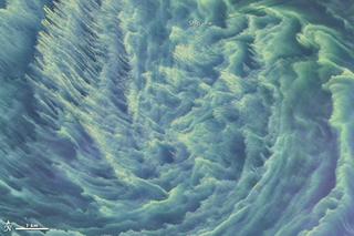 Zakwit fitoplanktonu w Bałtyku