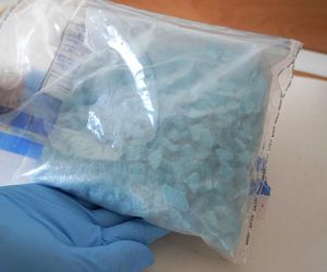 Policyjny nalot na mieszkanie w Toruniu. Zatrzymali 24-latka, znaleźli narkotyki