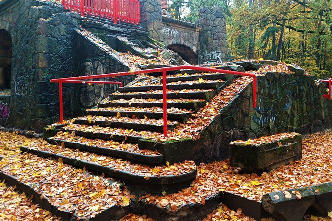 Porządkowanie terenu wokół wieży Quistorpa