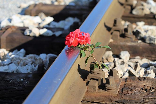 Tragedia pod Toruniem. Zmarł mężczyzna potrącony przez pociąg