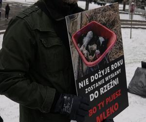 W Grudziądzu manifestowali aktywiści na rzecz zwierząt