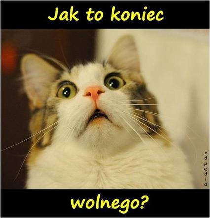 Najlepszy z okazji zakończenia wakacji i początku roku szkolnego!
