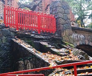 Porządkowanie terenu wokół wieży Quistorpa