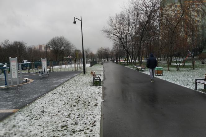 Pierwszy śnieg w Radomiu! Zobacz, jak rano wyglądało miasto