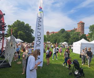 Smoczy Piknik Rodzinny 2025 w Krakowie